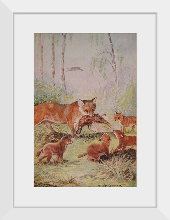 "Vixen & Cubs Fox (1910)", Maude Scrivener