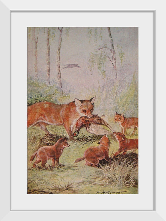 "Vixen & Cubs Fox (1910)", Maude Scrivener