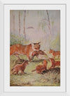 "Vixen & Cubs Fox (1910)", Maude Scrivener