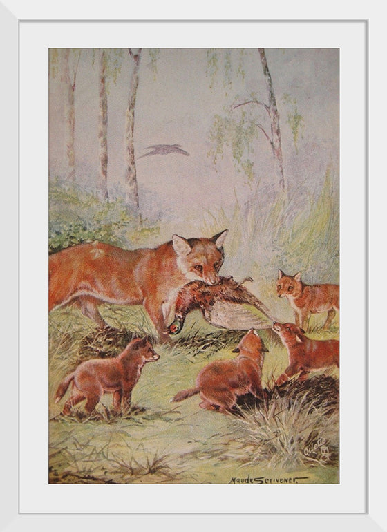 "Vixen & Cubs Fox (1910)", Maude Scrivener