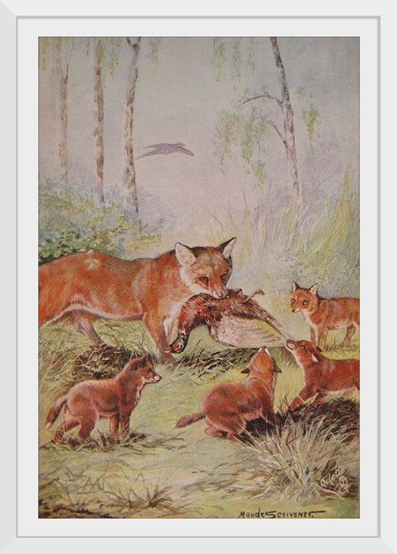 "Vixen & Cubs Fox (1910)", Maude Scrivener