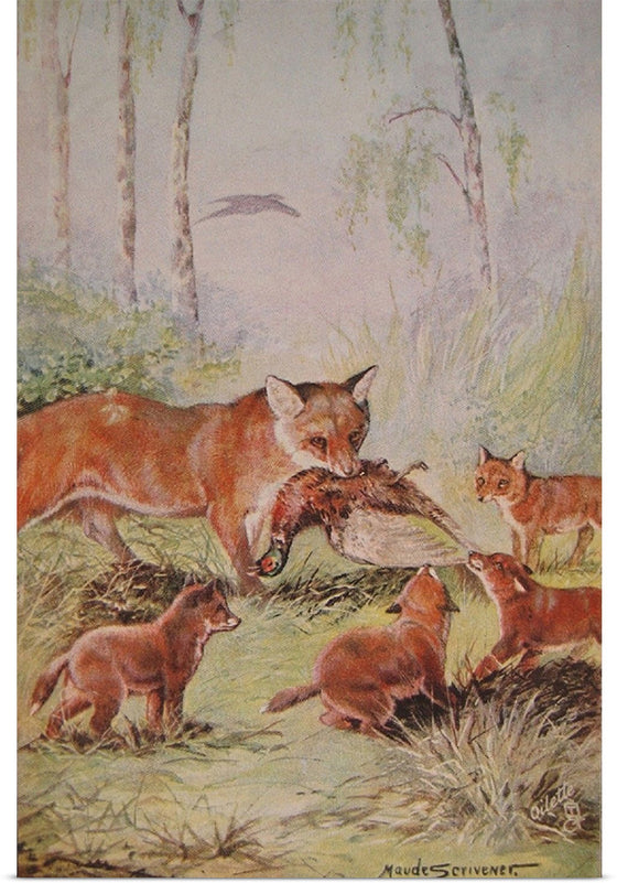 "Vixen & Cubs Fox (1910)", Maude Scrivener