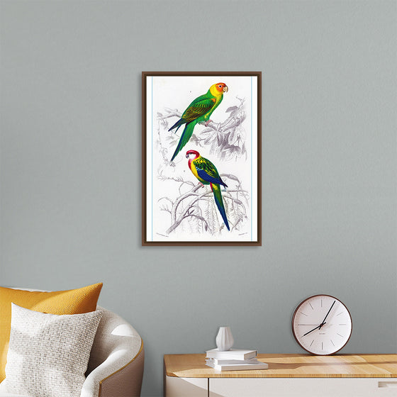 "Bird Art"