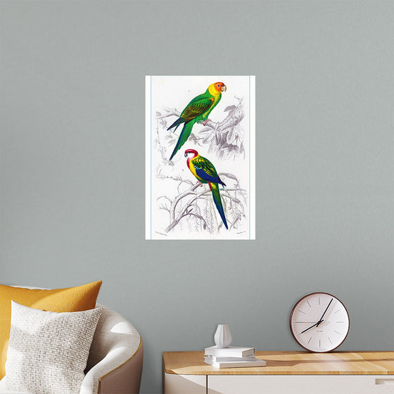 "Bird Art"