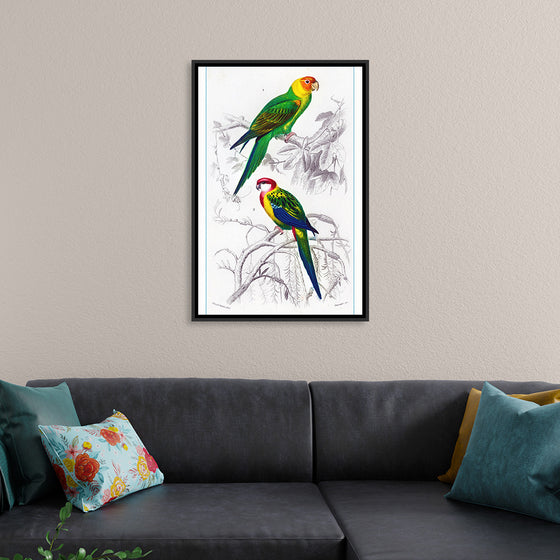 "Bird Art"