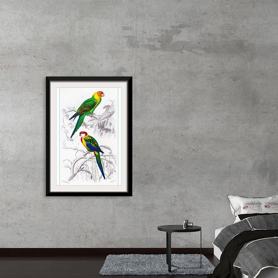 "Bird Art"