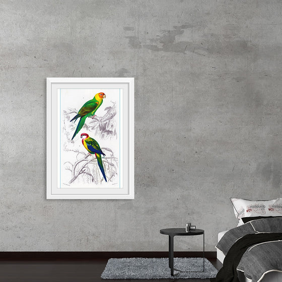 "Bird Art"