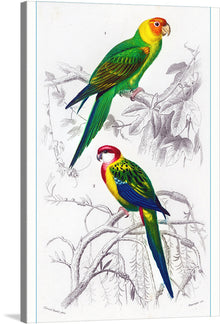  “Bird Art” is a meticulously crafted print that captures the vibrant essence and intricate details of two majestic parrots perched amidst lush foliage. Every feather, every hue, and every graceful curve is rendered with exquisite precision, inviting viewers into a serene natural sanctuary. The harmonious blend of the vivid colors of the parrots against the delicately sketched backdrop creates a visual symphony that sings of the untamed beauty residing within nature’s silent corners.