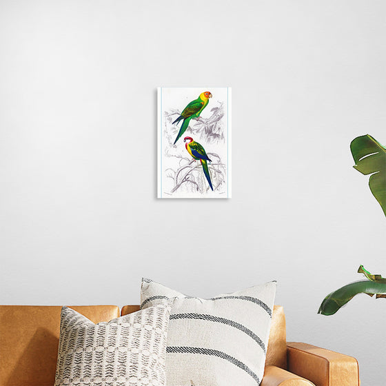 "Bird Art"