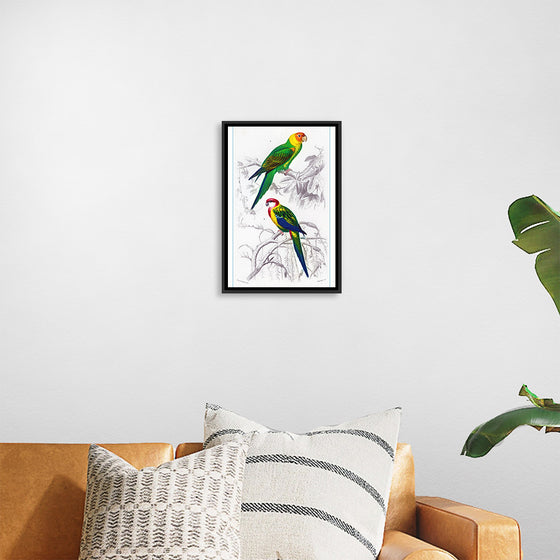 "Bird Art"