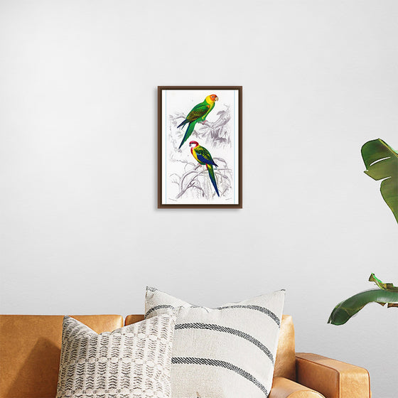 "Bird Art"