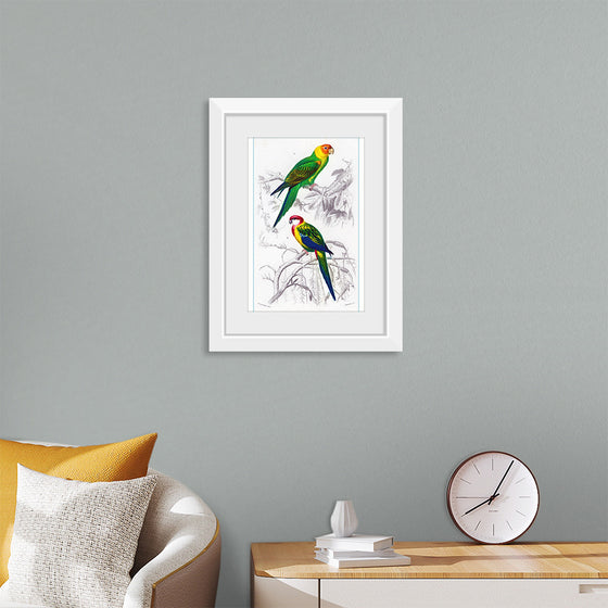 "Bird Art"