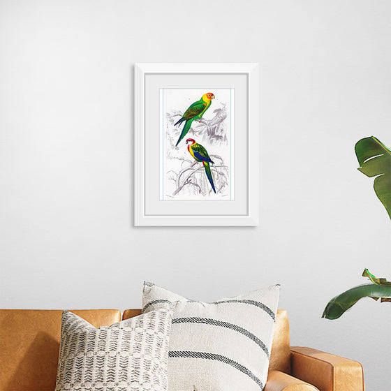 "Bird Art"