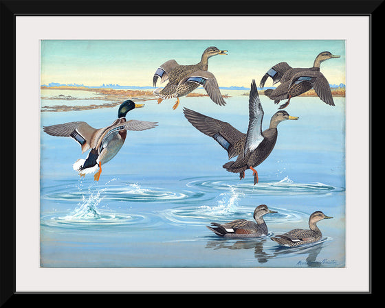 "Vintage Ducks Painting"