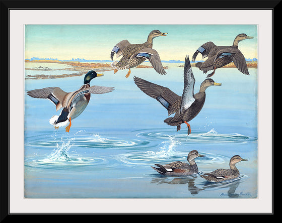 "Vintage Ducks Painting"