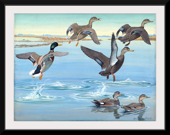 "Vintage Ducks Painting"