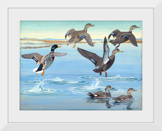 "Vintage Ducks Painting"