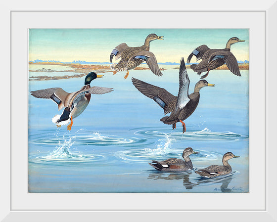 "Vintage Ducks Painting"