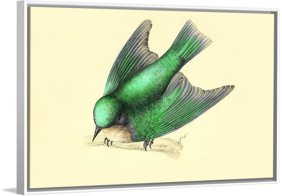 "Bird Swallow Art Nouveau"