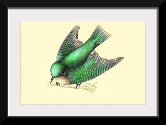 "Bird Swallow Art Nouveau"