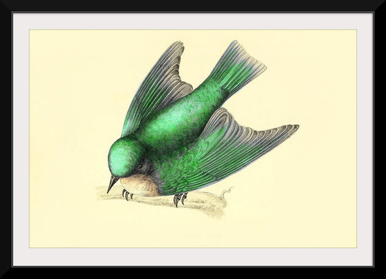 "Bird Swallow Art Nouveau"