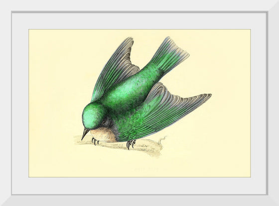 "Bird Swallow Art Nouveau"