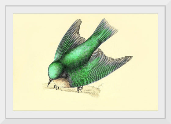 "Bird Swallow Art Nouveau"