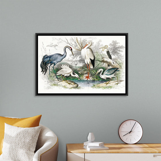 "Stork Crane"