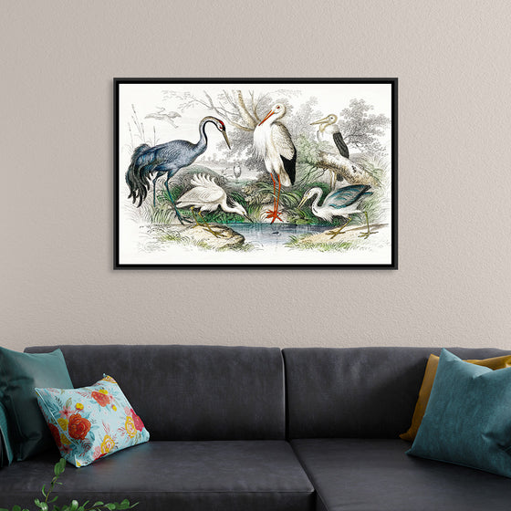 "Stork Crane"