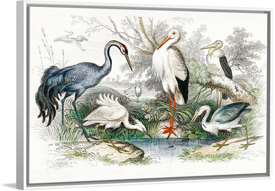 "Stork Crane"