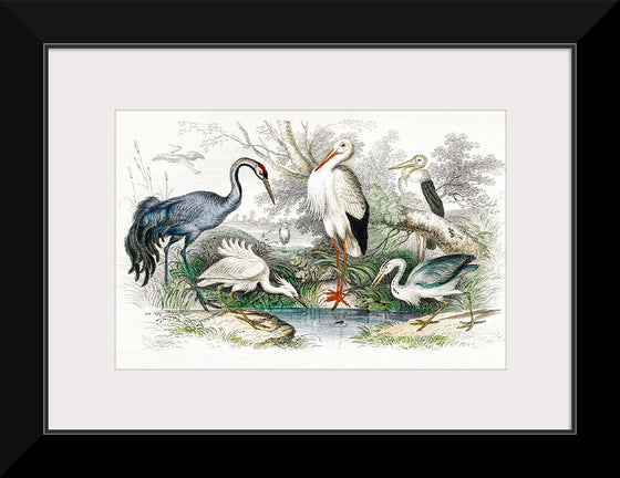 "Stork Crane"