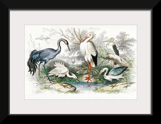 "Stork Crane"