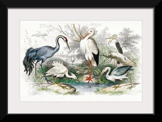 "Stork Crane"