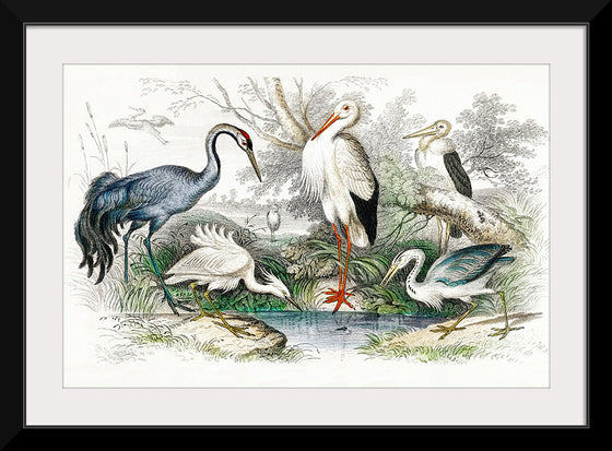 "Stork Crane"