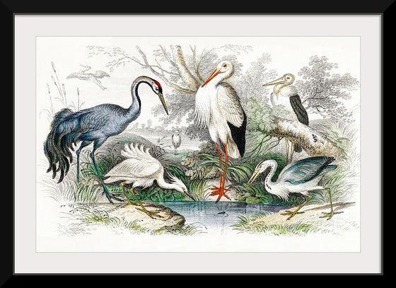 "Stork Crane"