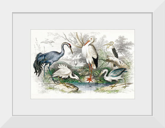 "Stork Crane"