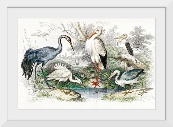 "Stork Crane"