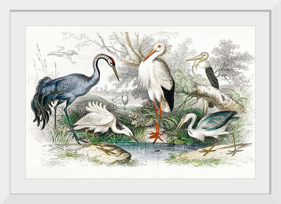 "Stork Crane"