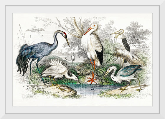 "Stork Crane"