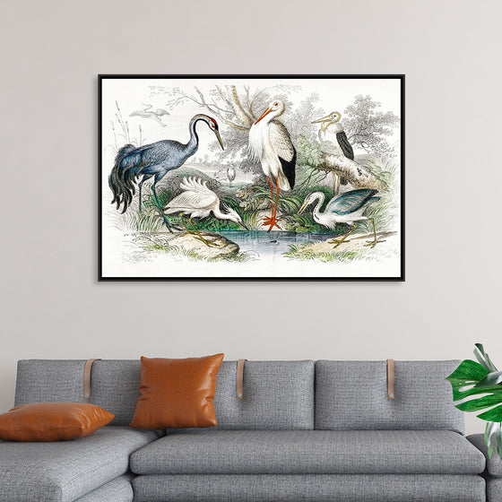 "Stork Crane"