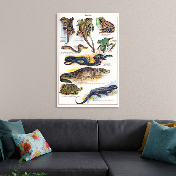 "Vintage Art of Reptiles"