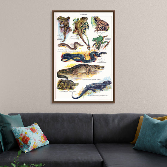 "Vintage Art of Reptiles"