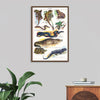 "Vintage Art of Reptiles"