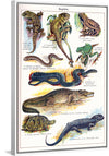 "Vintage Art of Reptiles"