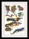 "Vintage Art of Reptiles"