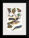 "Vintage Art of Reptiles"