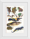 "Vintage Art of Reptiles"