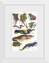 "Vintage Art of Reptiles"