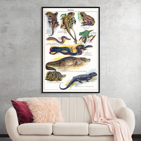 "Vintage Art of Reptiles"