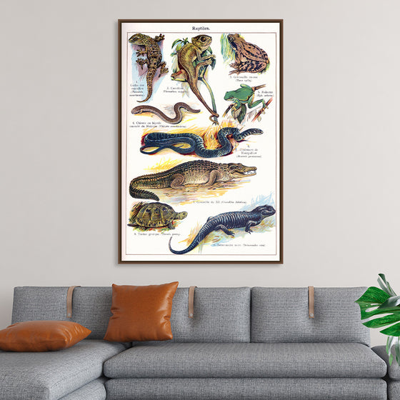 "Vintage Art of Reptiles"